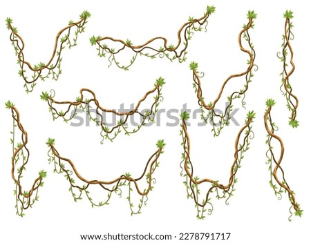 Collection of twisted wild lianas branches. Jungle vine plants. Rainforest flora and exotic botany. Woody natural branches Royalty-Free Stock Photo #2278791717