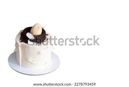 Elegant easter cake decorated with chocolate bird's nest, egg and feathers. White background with copy space. Horizontal orientation