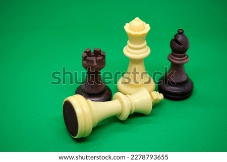 chess piece isolated on a green background. 