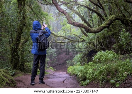 Man is in an enchanted forest taking a photo.