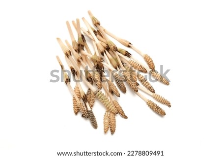Raw horsetails isolated on a white background. Royalty-Free Stock Photo #2278809491
