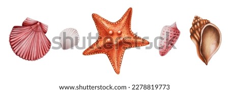 Watercolor set with starfish and shiny shells. Hand painting clipart underwater life objects on a white isolated background. For designers, decoration, postcards, wrapping paper, scrapbooking, covers