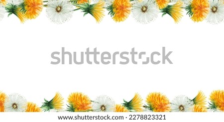 Watercolor seamless frame of dandelions flowers and green leaves. Hand painting clipart botanical meadow illustration on a white isolated background. For designers, decoration, postcards, wrapping