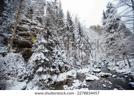 Szklarka Stream, winter view, Szklarska Poręba, Poland. Royalty-Free Stock Photo #2278834457