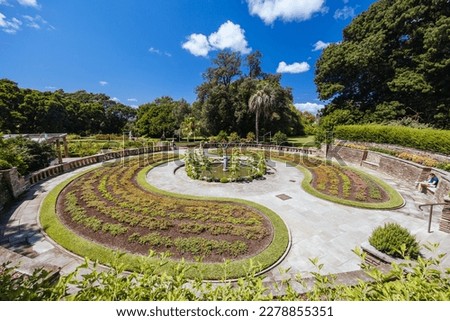 Royal Botanic Garden on a warm autumn morning in Sydney, New South Wales, Australia Royalty-Free Stock Photo #2278855351