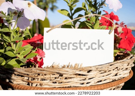 red flowers in a basket with a white hanging picture sign with empty free space for template or blank copy area