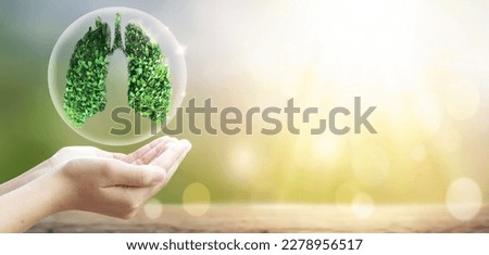 World Tuberculosis Day concept, Human hand holds lungs shape on fresh natural background Royalty-Free Stock Photo #2278956517
