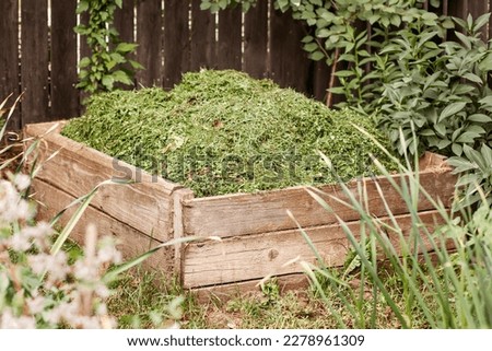 Compost Bin with Mowed Grass. Mowing Grass in Composter Pile Recycling for Eco Fertiliser. Organic Waste in Compost Heap. Royalty-Free Stock Photo #2278961309