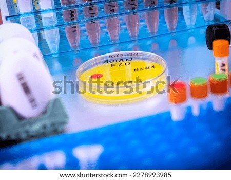 Scientific sampling of eggs in poor condition, analysis of avian influenza in humans, conceptual image Royalty-Free Stock Photo #2278993985