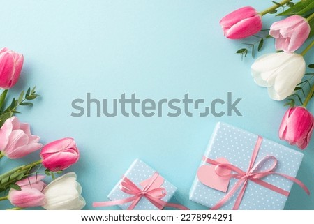 Mother's Day celebration concept. Top view photo of spring flowers bunches of white and pink tulips blue gift boxes with ribbon bows on isolated pastel blue background with copyspace