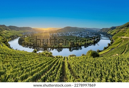 scenic moselle river loop at Leiwen, Trittenheim in Germany Royalty-Free Stock Photo #2278997869