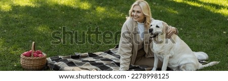 cheerful middle aged woman with blonde hair cuddling labrador dog while sitting on blanket in park, banner