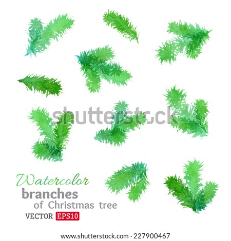 Watercolor branches of Christmas tree. Set of vector design elements isolated on white background. 