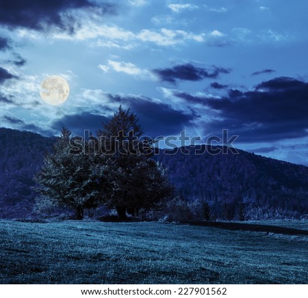 mountain autumn landscape. tree near meadow and forest on hillside  at night in full moon light