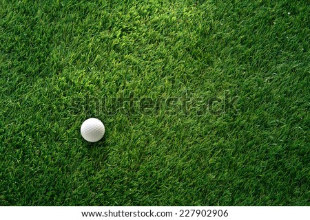 Golf ball on green grass in golf course Royalty-Free Stock Photo #227902906