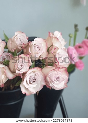 romantic roses, flower shop images, valentine