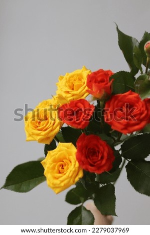 romantic roses, flower shop images, valentine