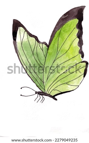 Hand drawn watercolor illustration-green butterfly on white background. Colorful background for fabric, wallpaper, gift wrapping paper, scrapbooking. Design for children.