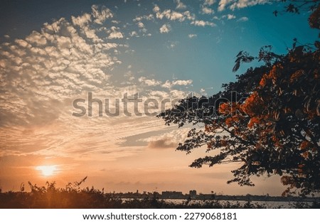 Nature photography is a wide range of photography taken outdoors and devoted to displaying natural elements such as landscapes, wildlife, plants, and close-ups of natural scenes selective focus 