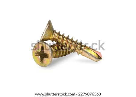 Self drilling screw isolated on white background.With clipping path. Royalty-Free Stock Photo #2279076563