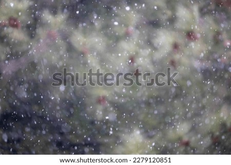 Abstract close-up picture of snowfall