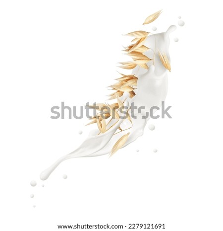 Dried oat plant with milk splashes isolated on white background Royalty-Free Stock Photo #2279121691