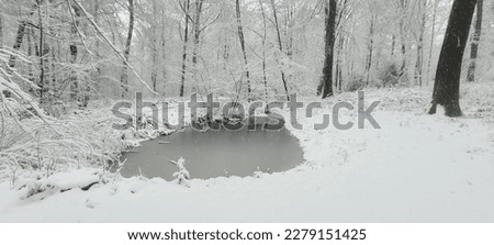 This is a peaceful photo taking in a snowy forest. A rare photo taking in Belgium.