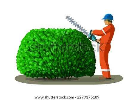 Arborist worker with hedge trimmer pruning tree. Clip art of tree surgeon gardener vector illustration on white background