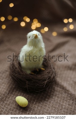 Close-up of a small yellow chicken. Easter card with a copy space. Spring Easter decor. Template for design. copy space. Wallpaper or Banner against blurred festive lights
