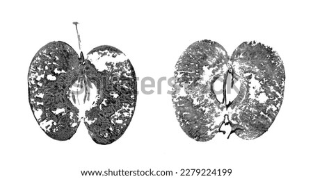 Abstract vector apple imprint. Hand drawn design element. Black ink on white background. Grunge texture. Royalty-Free Stock Photo #2279224199
