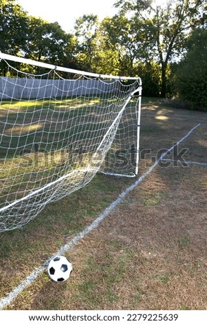 Picture of a soccer or football goal with ball.