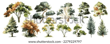 Watercolor trees collection. Set of hand drawn trees. Forest tree. Vector pack. 