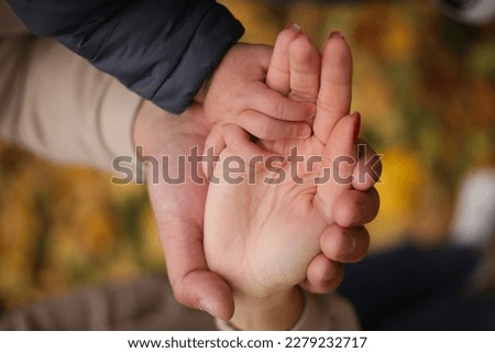 family photo, close-up hands, mom dad and child, hands, palms, small hands, on a warm background