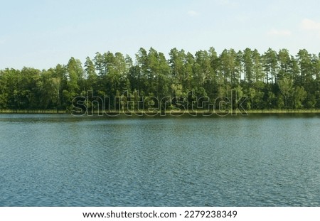 Forest by the lake in Tuchola Forest in Poland.