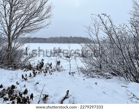 Winter scene along a quiet pond