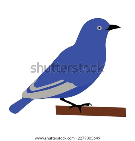 A very beautiful blue bird vector artwork