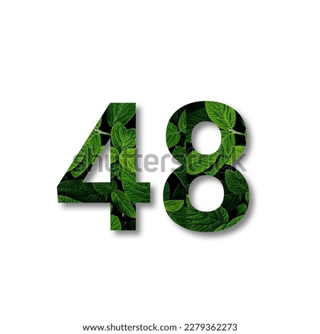Design number 48 with leaf texture on white background.