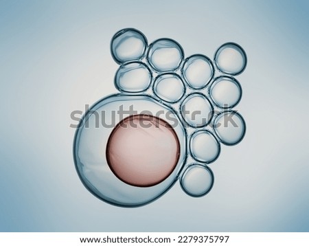 Cells division process, Cell divides into two cells	 Royalty-Free Stock Photo #2279375797