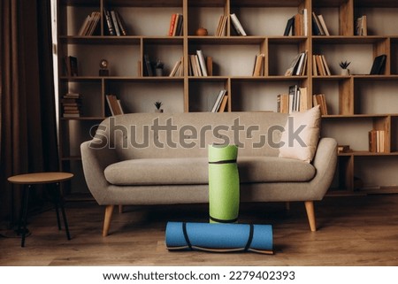 two Caremata are lying next to the sofa. Royalty-Free Stock Photo #2279402393