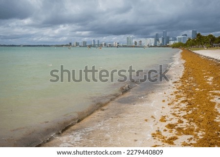 View of the city of Miami from the Key Biscayne peninsula.