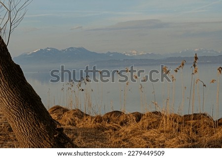 view over the Chiemsee lake to the alps