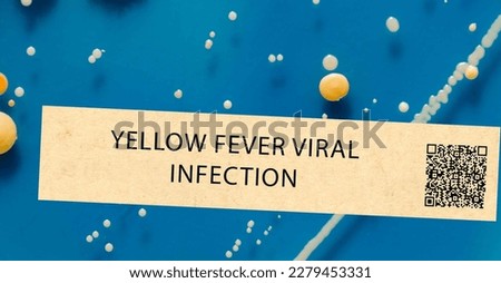 Yellow fever - Viral infection transmitted by mosquitoes and can cause fever, jaundice, and bleeding.