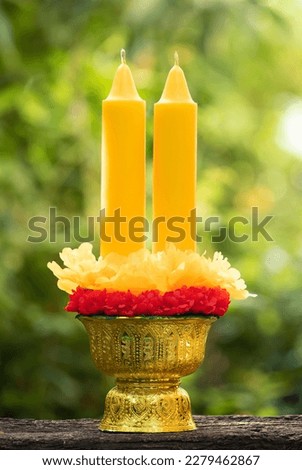 Orange candles on nature background.