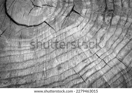 background and natural stump texture