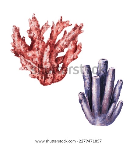 Watercolor composition with corals. Hand painting clipart underwater life objects on a white isolated background. For designers, decoration, postcards, wrapping paper, scrapbooking, covers