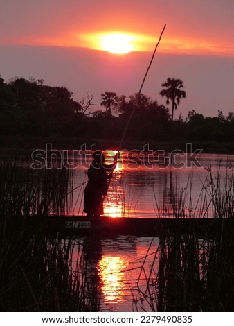 Sunset in the Okavanga Delta in Botswana