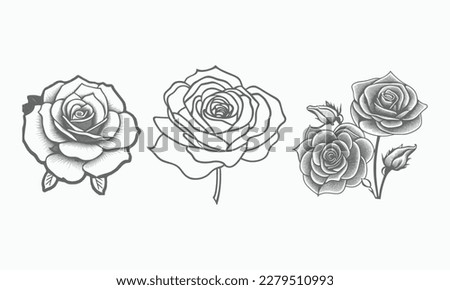 Nice Roses  Vector artwork coloring page, coloring book, black outline hand drawn sketch. Vector element for natural, wedding design, plant, botanical illustration, coloring book, line art.