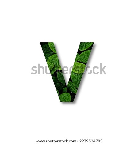 Font with leaf texture isolated on white background.
