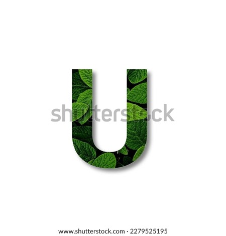 Font with leaf texture isolated on white background.