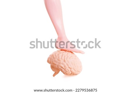 Close-up view of a doll's foot resting on top of a detailed anatomical model of a human brain isolated on a white background. Mind-body problem related concept.